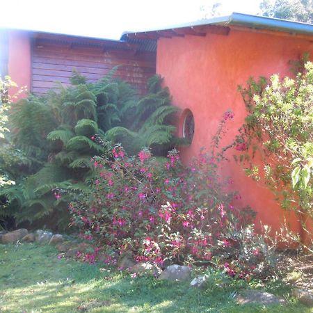 Whispering Spirit Holiday Cottages & Mini Ponies Franklin 外观 照片
