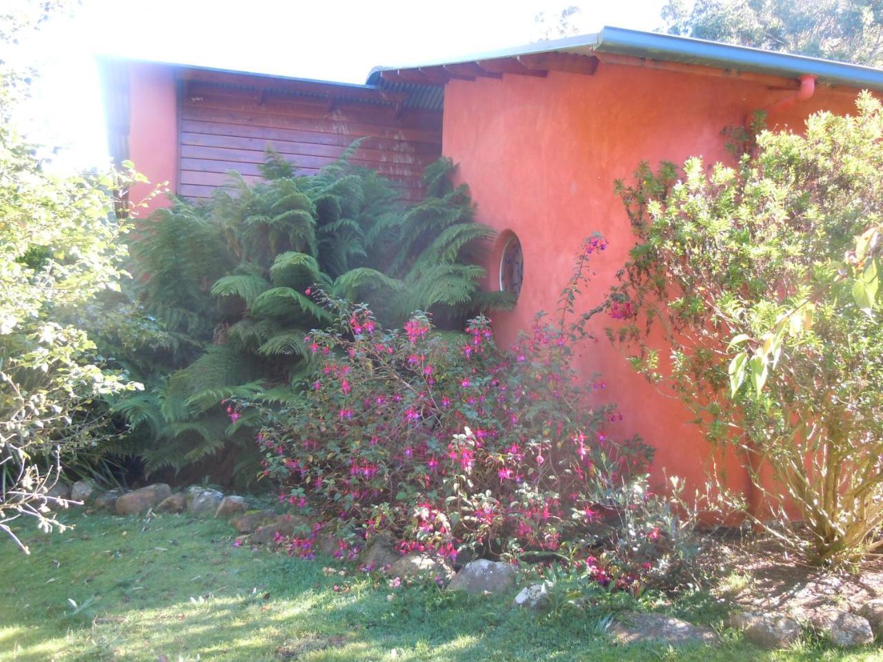 Whispering Spirit Holiday Cottages & Mini Ponies Franklin 外观 照片