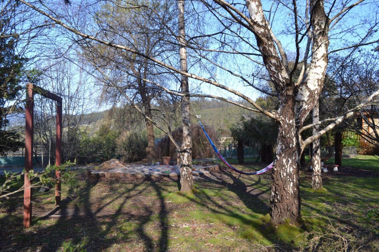 Whispering Spirit Holiday Cottages & Mini Ponies Franklin 外观 照片